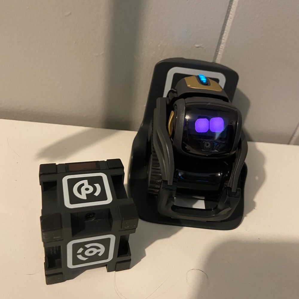Vector by anki - Picture 3 of 3